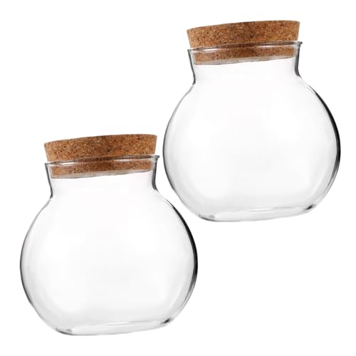 Happyyami 2Stücke Mikrolandschaft Flasche Mit Korkverschluss Transparente DIY Ökologische Flasche Für Moos Landschaftsbau Ohne Beleuchtung von Happyyami