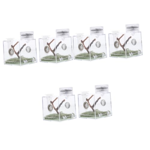 Happyyami 3er-Box Springspinnen-zuchtbox Miniaturgehäuse Tierischer Zaun Transparenter Reptilienkäfig Lebensraumkäfig Für Schneckenspinnen Vogelspinnengehege Mini-tierwächter Holz von Happyyami