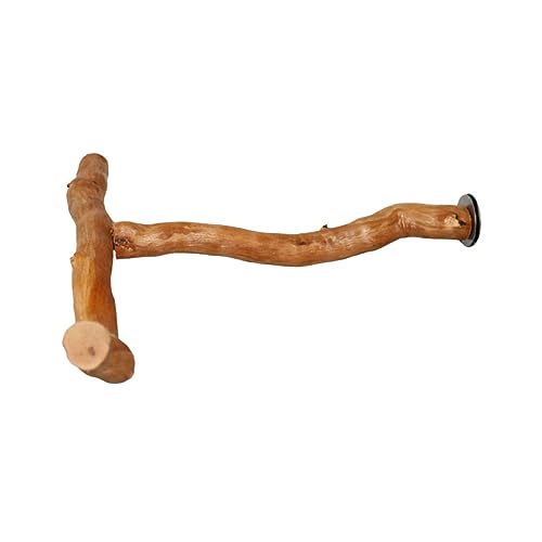 Happyyami 3st Papagei t Stehen Vogel Stehender Stock Hängemattengestell Nymphensittich Spielzeug Nymphensittich-Spielzeug Für Den Haushalt Spielzeug Für Sittiche Vogelbarsch Light Brown Holz Happyyami 3st Papagei t Stehen Vogel Stehender Stock Hängemattengestell Nymphensittich Spielzeug Nymphensittich-Spielzeug Für Den Haushalt Spielzeug Für Sittiche Vogelbarsch Light Brown Holz von Happyyami