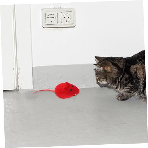 Happyyami 40 STK Künstliche Katze Spielt Requisiten Katzenminze-Spielzeug Spielzeug Für Katzen Und Mäuse Quietschendes Katzenspielzeug Beflockung Für Katze Katzensachen Kätzchen Happyyami 40 STK Künstliche Katze Spielt Requisiten Katzenminze-Spielzeug Spielzeug Für Katzen Und Mäuse Quietschendes Katzenspielzeug Beflockung Für Katze Katzensachen Kätzchen von Happyyami