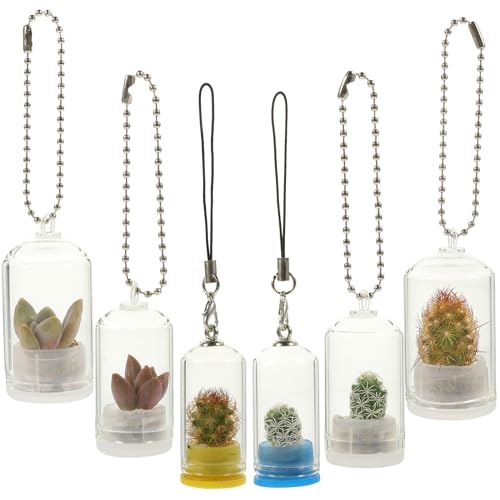 Happyyami 6 x Schlüsselanhänger für Sukkulenten, Terrarium, Zubehör, Pflanzgefäß, Ornamente, Katus-Vase, Schlüsselanhänger, Anzuchtschlüsselanhänger von Happyyami