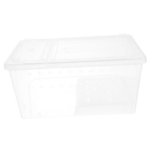 Happyyami Amphibien-Futterbox schildkröten zubehör schildkröten Aquarium reptichip Aquarium Terrarium Schildkrötenplattform aus Kunststoff Schildkrötenbecken aus Kunststoff Plastik von Happyyami