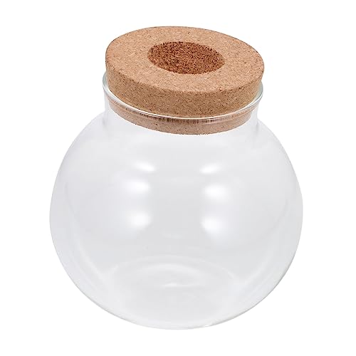 Happyyami Glas Pflanzer Flasche Fisch Halten Pflanze Flasche Kork Deckel Für Landschaft Desktop Ornament von Happyyami