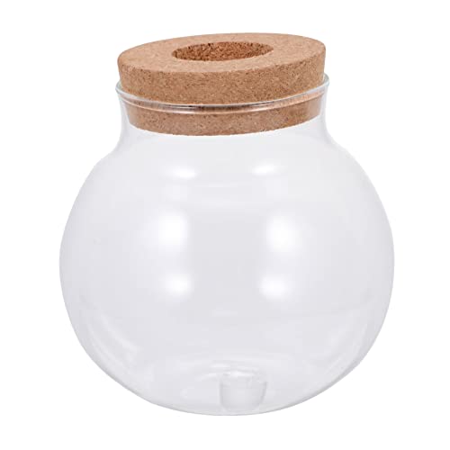 Happyyami -landschaftsflasche Glas-Terrarium Pflanzenmoos Landschaftsgestaltung Für Das Home Office von Happyyami