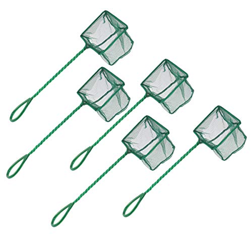 Happyyami Aquarium-fischernetz Großes Aquarium Keschertasche Fliegen Faltbar Futterspender Poolnetze Zur Reinigung Netzfischen Fischbecken Mit Deckel Wasserdicht Pole Feines Netz Tank Green Happyyami Aquarium-fischernetz Großes Aquarium Keschertasche Fliegen Faltbar Futterspender Poolnetze Zur Reinigung Netzfischen Fischbecken Mit Deckel Wasserdicht Pole Feines Netz Tank Green von Happyyami