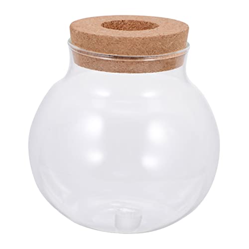 Happyyami Aquarium klare ökologische Flasche DIY-Mikrolandschaftsflasche Tank Wasser- büro Accessoires Succulent Plants Links Vase Desktop-Glasflasche kleine Landschaftsflasche Transparent Happyyami Aquarium klare ökologische Flasche DIY-Mikrolandschaftsflasche Tank Wasser- büro Accessoires Succulent Plants Links Vase Desktop-Glasflasche kleine Landschaftsflasche Transparent von Happyyami