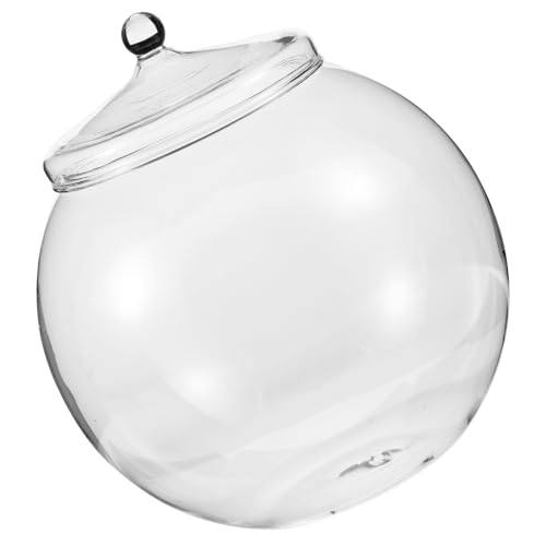 Happyyami Nachhaltiges Glas Handgefertigt - Landschaft Blumentopf Moos Pflanze Flasche von Happyyami