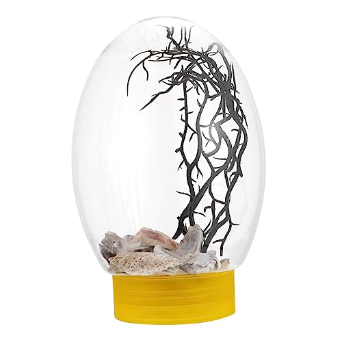 Happyyami Desktop Aquarium Mit -Beleuchtung Ohne Wasserwechsel Für Kleine Fische Und Hydroponik Dekorativ Für Zuhause Transparente Konstruktion Mit Sicherer Batterieversorgung von Happyyami