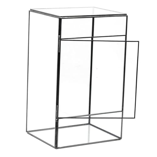 Happyyami Desktop -Landschaftstank klare Töpfe für Pflanzen groß saftig drinnen Ökologischer Mooshalter Terrarienglas Terrarienmoos Glasterrarien für Pflanzen Container Zinn von Happyyami