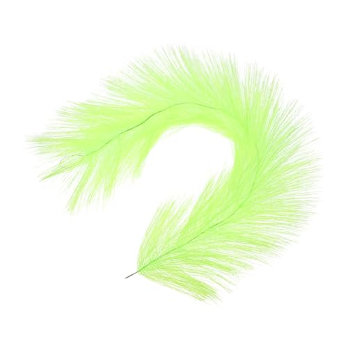 Happyyami Aquarienzuchtgras Für Fische Laich Gras Fischversteck Aquarium Zuchtgras Lebendiges Zuchtgras Happyyami Aquarienzuchtgras Für Fische Laich Gras Fischversteck Aquarium Zuchtgras Lebendiges Zuchtgras von Happyyami
