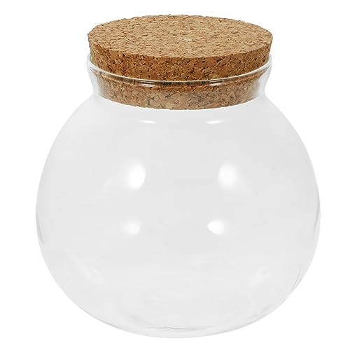 Happyyami Handgefertigte Glaspflanze Aus Moos Dekorative Vase Für Zimmerpflanzen Landschaftsflasche von Happyyami