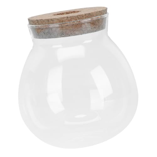 Happyyami Fischbecken Aus Glas Wasser Getränke Stand Fensterpflanzenregal Zubehör Für Aquarien Künstlich Deckel Zubehör Für Terrarien Anlasser Terrakotta Teichpflanzen Transparent von Happyyami