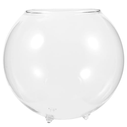 Happyyami Fischschale Aquarium Pflanze Terrarium Schale Vase Klarglas Kleines Aquarium Goldfisch Aquarium Dekoration für Garten Outdoor Indoor Home 12 cm Happyyami Fischschale Aquarium Pflanze Terrarium Schale Vase Klarglas Kleines Aquarium Goldfisch Aquarium Dekoration für Garten Outdoor Indoor Home 12 cm von Happyyami