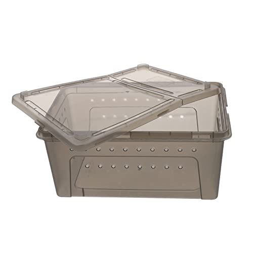 Happyyami Reptilienzuchtkoffer Mit Futterspender Kunststoff-Reptilien-Terrarium-zuchtbox Belüftungslöcher Für Luftzirkulation Hervorragende Lichtdurchlässigkeit Für Beobachtung Happyyami Reptilienzuchtkoffer Mit Futterspender Kunststoff-Reptilien-Terrarium-zuchtbox Belüftungslöcher Für Luftzirkulation Hervorragende Lichtdurchlässigkeit Für Beobachtung von Happyyami