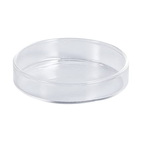 Happyyami Glass Shrimp Feeding Bowl Für Aquarien Wasserfester Langlebiger Futterring Für Garnelen Und Kleine Fische Dekorativ Und Multifunktional Für Reptilien Und Aquarienzubehör Happyyami Glass Shrimp Feeding Bowl Für Aquarien Wasserfester Langlebiger Futterring Für Garnelen Und Kleine Fische Dekorativ Und Multifunktional Für Reptilien Und Aquarienzubehör von Happyyami
