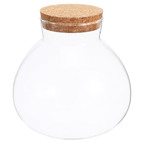 Happyyami Transparentes rundes Glasgefäß mit Kork, DIY-Terrarium-Set für Farn und Fittonia, zum Erstellen Ihres Indoor-Garten-Mittelstücks, 15 cm von Happyyami