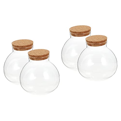 Happyyami Glasbehälter 4 Stück Vasen Mit Betta-Farn-Blumenglocke Kork Transparent Für Die Vermehrung Für Zuhause Transparent/Zoll-Pflanzgefäße Flasche Mikrolandschaft Teegarten Glasflasche von Happyyami