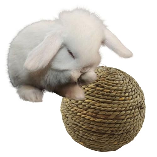 Happyyami Kau- Spielzeug Für Kleintiere Natürliche Weidenkugeln Kauspielzeug Für Kaninchen Meerschweinchen Nager Sicher Ohne Kleber Für Beschäftigung Und Zahnpflege Happyyami Kau- Spielzeug Für Kleintiere Natürliche Weidenkugeln Kauspielzeug Für Kaninchen Meerschweinchen Nager Sicher Ohne Kleber Für Beschäftigung Und Zahnpflege von Happyyami