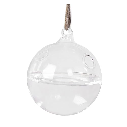 Happyyami Hängende Glasvase Mit Löchern Transparentes Terrarium Für Pflanzen Für Kreative Dekoration Im Wohnbereich Hängendes Glasterrarium Für Blumen Happyyami Hängende Glasvase Mit Löchern Transparentes Terrarium Für Pflanzen Für Kreative Dekoration Im Wohnbereich Hängendes Glasterrarium Für Blumen von Happyyami