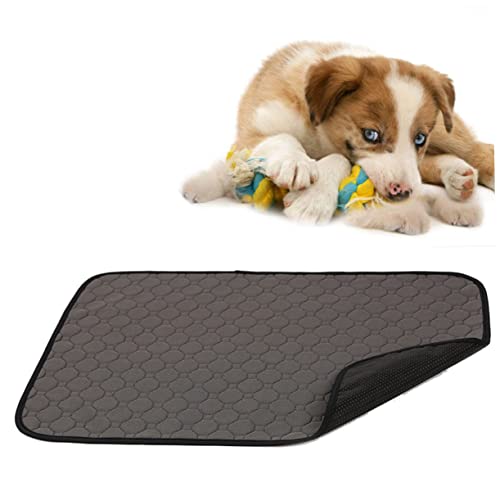 Happyyami Hunde-PIPI-pad Waschbar Trainingspad Für Haustiere Welpen-trainingspad Matte Wiederverwendbares Hundepad Größe S Happyyami Hunde-PIPI-pad Waschbar Trainingspad Für Haustiere Welpen-trainingspad Matte Wiederverwendbares Hundepad Größe S von Happyyami