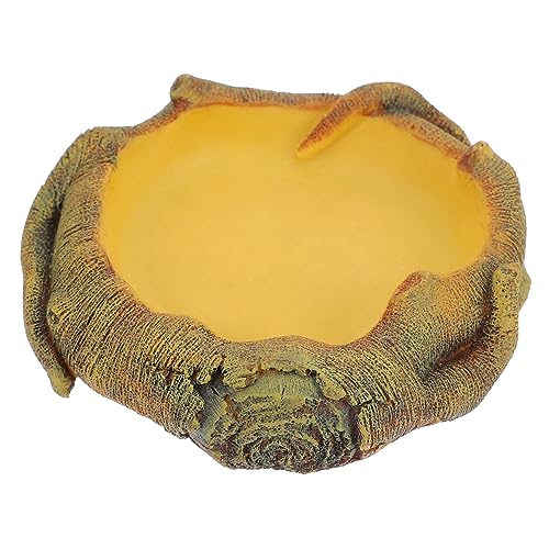 Happyyami Reptilienbox Landschaftsbau-futterspender Becken Aus Massiver Holzmaserung Für Wasser Und Futter Für Haustiere von Happyyami