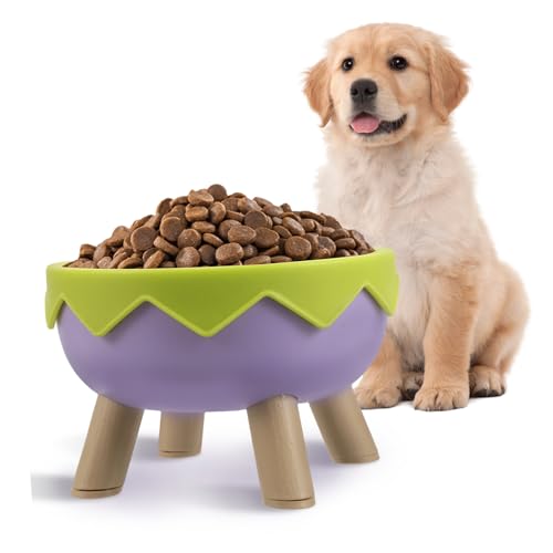 Happyyami Erhöhter Katzen Und Hundebowl Mit Rutschfestem Design Für Gesunde Fütterung Ergonomische Futterstation Für Kleine Haustiere Leicht Zu Reinigen Schützt Nacken Und Hält Futter von Happyyami