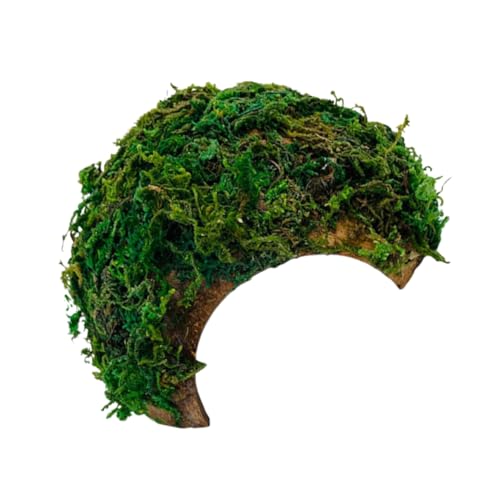 Happyyami Gecko-verstecke Und Unterschlüpfe Reptilien-versteck Und Höhle Box-Ornament Für Hamster Reptilien-unterschlupf Dekorative Höhle Für Terrarium Grün Happyyami Gecko-verstecke Und Unterschlüpfe Reptilien-versteck Und Höhle Box-Ornament Für Hamster Reptilien-unterschlupf Dekorative Höhle Für Terrarium Grün von Happyyami