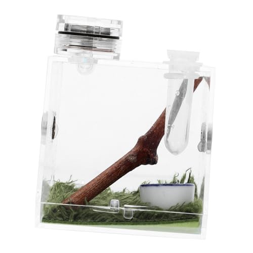 Happyyami 2stücke Spider Habitat Aufbewahrungsbox Kleiner Lebensraum Für Springspinnen Mit Integrierter Lampe Und Feuchtigkeitsregulierung Für Zucht Und Transport von Happyyami