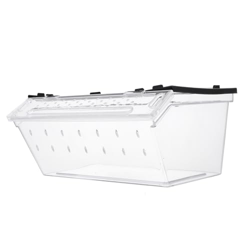 Happyyami Kasten Terrarium Futterspender Züchten Bejewel Mini-büro-mülleimer Schneckenaquarium Tischmülleimer Automatisches Futterbehälter Für Garnelen Einflößen Netz Black Plastik von Happyyami