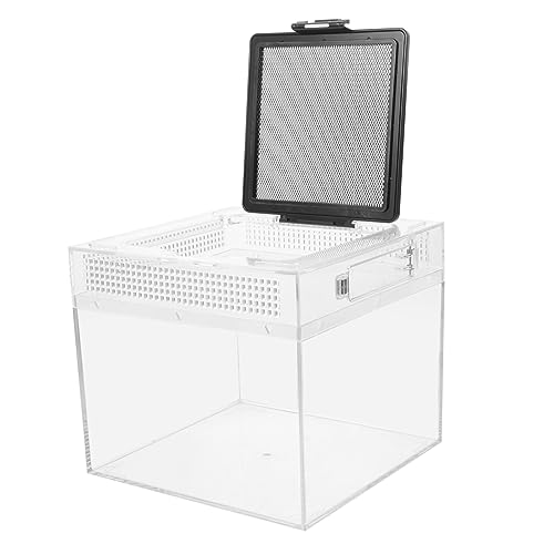 Happyyami Kasten Transparente Reptilienbox Vogelspinnen Tierpfleger Transparenter Tierlebensraumkäfig Terrarium Für Reptilien Vogelspinne Füttern Gecko-lebensraum Schildkrötengehege Aggreko von Happyyami