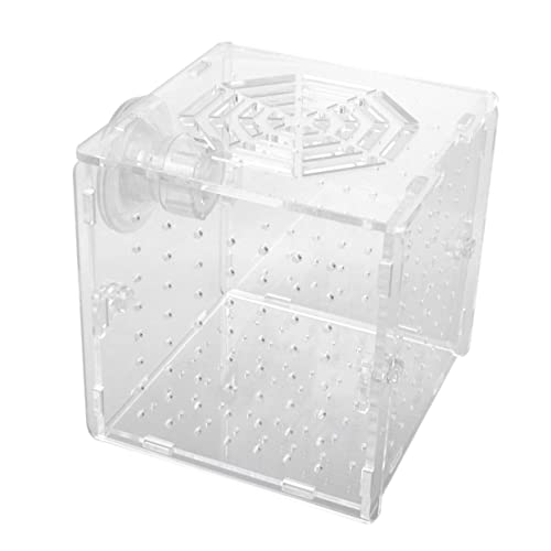 Happyyami Kasten Zuchtbecken Für Aquarien Schwimmbad Luft Filter Für Aquarien Saugnäpfe Für Aquarienschläuche Kleines Aquarium Wasser Fischschaufelnetz Schlauch Panzer Anlasser Transparent Happyyami Kasten Zuchtbecken Für Aquarien Schwimmbad Luft Filter Für Aquarien Saugnäpfe Für Aquarienschläuche Kleines Aquarium Wasser Fischschaufelnetz Schlauch Panzer Anlasser Transparent von Happyyami