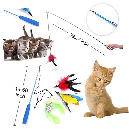 Happyyami Katzenangel Set Mit Ausziehbarem Teleskopstab Interaktives Mit Federn Für Katzen Inkl Ersatzfedern Und Aufbewahrungstasche Ideales Katzenspielzeug Für Endlosen Spielspaß Happyyami Katzenangel Set Mit Ausziehbarem Teleskopstab Interaktives Mit Federn Für Katzen Inkl Ersatzfedern Und Aufbewahrungstasche Ideales Katzenspielzeug Für Endlosen Spielspaß von Happyyami