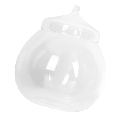 Happyyami Mikroglasflasche im Querformat bürodeko büro Dekoration tischdeko esstisch Ökologische Flasche zimmerpflanzen Fischglas Bürobedarf Betta-Behälter aus Glas Fischbecken Pflanzen von Happyyami
