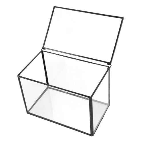 Happyyami Mikrolandschaftsgewächshaus Saftiges Terrarium Pflanzenbehälter Selber Machen Mikro-landschafts-DIY-Halter Micro-landschaftshalter Landschaftsbehälter Pflanzenetui Transparent Glas Happyyami Mikrolandschaftsgewächshaus Saftiges Terrarium Pflanzenbehälter Selber Machen Mikro-landschafts-DIY-Halter Micro-landschaftshalter Landschaftsbehälter Pflanzenetui Transparent Glas von Happyyami