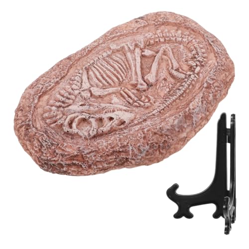 Happyyami Simuliertes Dinosaurierfossil Dekoration für Terrarien Aquarium und Landschaftsmodelle Paläontologisches Exemplar Kompakt und Tragbar Harzverarbeitung Happyyami Simuliertes Dinosaurierfossil Dekoration für Terrarien Aquarium und Landschaftsmodelle Paläontologisches Exemplar Kompakt und Tragbar Harzverarbeitung von Happyyami