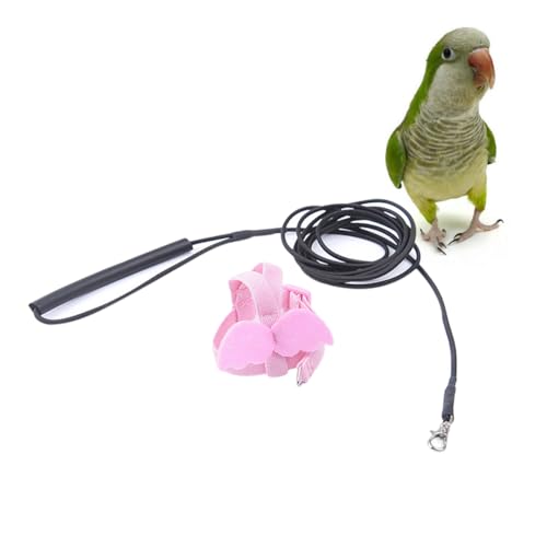 Happyyami Papagei Fliegendes Seil Vogelgeschirr Papageienbarsch Vogeltrainingsleine Große Vogelstange Seil Für Papageiengeschirr Papageienleine Trainingsseil Für Papageien Vogel Elastisch Happyyami Papagei Fliegendes Seil Vogelgeschirr Papageienbarsch Vogeltrainingsleine Große Vogelstange Seil Für Papageiengeschirr Papageienleine Trainingsseil Für Papageien Vogel Elastisch von Happyyami