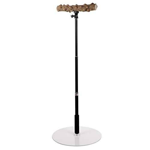 Happyyami Papageien Sitzstange Ständer Für Papageien Vogelsitzstangen Für Sittiche Vogelspielzeug Vogelspielzeug Vogelständer Spielzeug Für Vögel Papageienständer Holzsitzstange Happyyami Papageien Sitzstange Ständer Für Papageien Vogelsitzstangen Für Sittiche Vogelspielzeug Vogelspielzeug Vogelständer Spielzeug Für Vögel Papageienständer Holzsitzstange von Happyyami