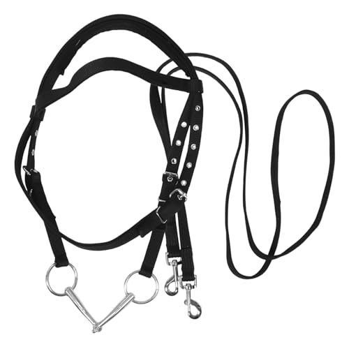 Happyyami Pferdeseilhalter, Bequemes, Zum Passendes Führseil, Verstellbares Pferdezügel-trainingsseil Für Reittraining, Reisen Und Den Täglichen Gebrauch Happyyami Pferdeseilhalter, Bequemes, Zum Passendes Führseil, Verstellbares Pferdezügel-trainingsseil Für Reittraining, Reisen Und Den Täglichen Gebrauch von Happyyami
