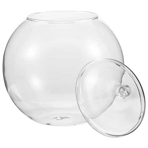 Happyyami Pflanzenterrarium Glasflasche Miniatur-Landschaft Moos Dekorativ Blumenbehälter Ökologische Pflanzenflasche DIY Landschaftsflasche Für Wohnzimmer Büro von Happyyami