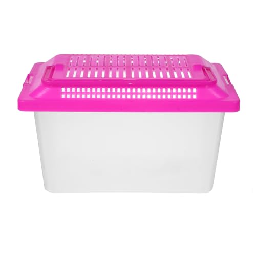 Happyyami Plastikschildkrötenfischbehälter Aquarienfilter Panzer Pumpe Fischglas pet Supplies fischteller schneckenterrarium schleichtiere Schildkrötenhalter Futterbehälter für Reptilien Happyyami Plastikschildkrötenfischbehälter Aquarienfilter Panzer Pumpe Fischglas pet Supplies fischteller schneckenterrarium schleichtiere Schildkrötenhalter Futterbehälter für Reptilien von Happyyami