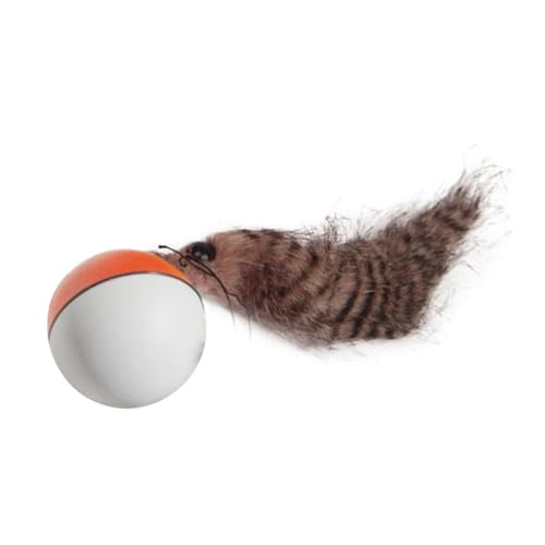 Happyyami Elektrischer Rolling Ball Mausspielzeug Batteriebetrieben Motorisiert Kunststoff Leicht Winzige Zum Jagen Und Spielen Für Katzenwelpenhunde von Happyyami