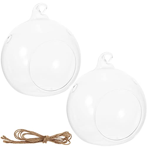 Happyyami Sukkulenten Kleiderständer 2 Stück Hängende Glaskugel Terrarien Klarglasvase Kugelglas Luftpflanzenhalter Mit Seil Für Kerzen Farnpflanzen 15X15cm Zimmerpflanzen Happyyami Sukkulenten Kleiderständer 2 Stück Hängende Glaskugel Terrarien Klarglasvase Kugelglas Luftpflanzenhalter Mit Seil Für Kerzen Farnpflanzen 15X15cm Zimmerpflanzen von Happyyami