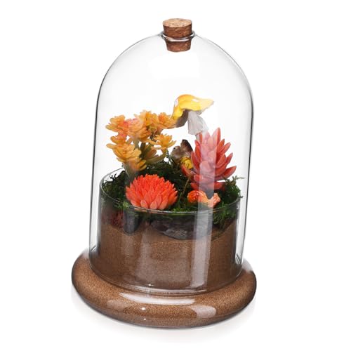 Happyyami Sukkulenten Terrarium Pflanzen Flaschenglas Glasterrarien Für Pflanzen Glaskuppel von Happyyami