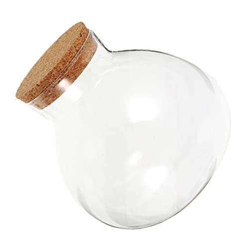 Happyyami Elegante Glas-moosflasche Microlandschaft Leere Flasche Für Heimdekoration Korkgläser Korkdeckel von Happyyami