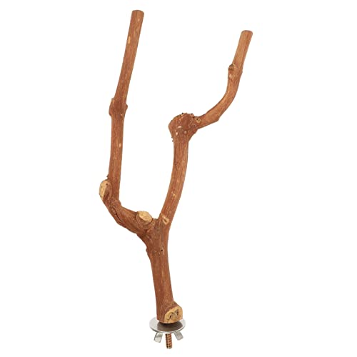 Happyyami Vogel-AST-Stick Papagei Vogelspielzeug Papageienkäfig Frettchen Hängematte Käfige Papageienbarsch Vogel Stehen Hamster Hängend Nest Großer Vogelkäfig Vision Vogelkäfig Weinreben Happyyami Vogel-AST-Stick Papagei Vogelspielzeug Papageienkäfig Frettchen Hängematte Käfige Papageienbarsch Vogel Stehen Hamster Hängend Nest Großer Vogelkäfig Vision Vogelkäfig Weinreben von Happyyami