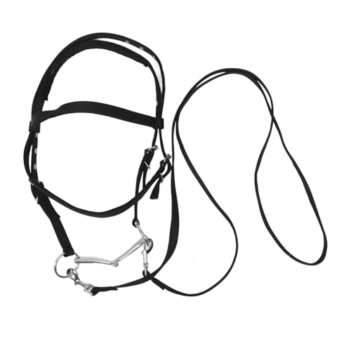 Happyyami Western-pferdegeschirr Aus Nylon Ergonomisches Design Für Kleine Pferde Passendes Führstrick Für Training Und Reiten Gebissloses Zaumzeug Für Pferde Happyyami Western-pferdegeschirr Aus Nylon Ergonomisches Design Für Kleine Pferde Passendes Führstrick Für Training Und Reiten Gebissloses Zaumzeug Für Pferde von Happyyami