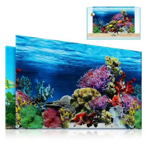 Happyyami wandaufkleber Papier Unterwasserwelt Dekoration D Aufkleber für Aquarium Meeresleben Dekoration Hintergrund des Ozeanaquariums Aquarium Hintergrund Tank Hintergrundaufkleber Happyyami wandaufkleber Papier Unterwasserwelt Dekoration D Aufkleber für Aquarium Meeresleben Dekoration Hintergrund des Ozeanaquariums Aquarium Hintergrund Tank Hintergrundaufkleber von Happyyami