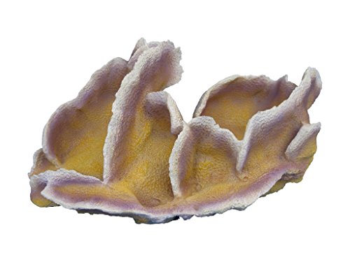 Haquoss POCILLOPORA 4, 28.5 x 17.5 x 13h cm von Haquoss