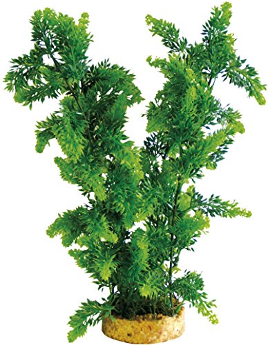Haquoss Phytos 32 Kunststoffpflanze für Süßwasser und Terrarien, 9 x 9 x 22 cm von Haquoss