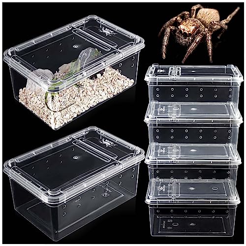 6 Stück Spinnenterrarien Zuchtbox Insektenbehälter Transparent Schlüpfen Container Kunststoff Futterbox für kleine Reptilien Spinne Skorpion Tausendfüßler Insekt - Mini von Harhana